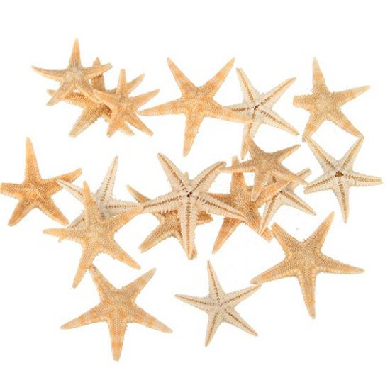 GERÇEK DENİZ YILDIZI 2,5-4,50 Cm-NATUREL-10'LU PAKET
