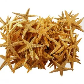 GERÇEK DENIZ YILDIZI 4,00-5,00 cm-10'LU PAKET