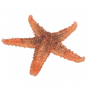 TESTERE YILDIZ 6"-7"