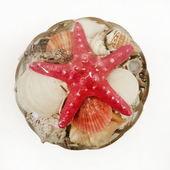 SEPET İÇİ KABUK-6"