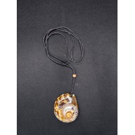 TURBO SARMATICUS KOLYE