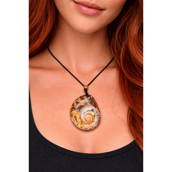 TURBO SARMATICUS KOLYE