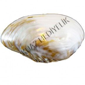 MACABE TABAK-METAL KENARLI / AYAKSIZ