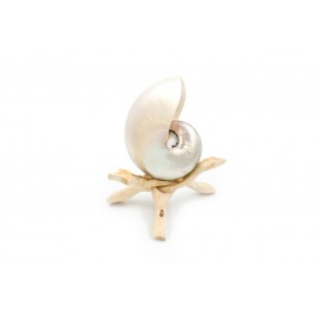 CHAMBER NAUTILUS SEDEFLİ 6"
