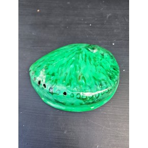 HALIOTIS MIDAE GREEN 5,5"
