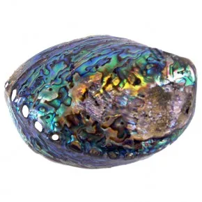 PAUA PEARLIZED 4