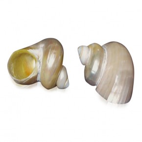 TURBO BURGESS SEDEFLİ 4"