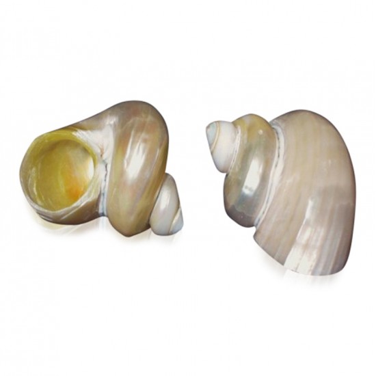 TURBO BURGESS SEDEFLİ 4"