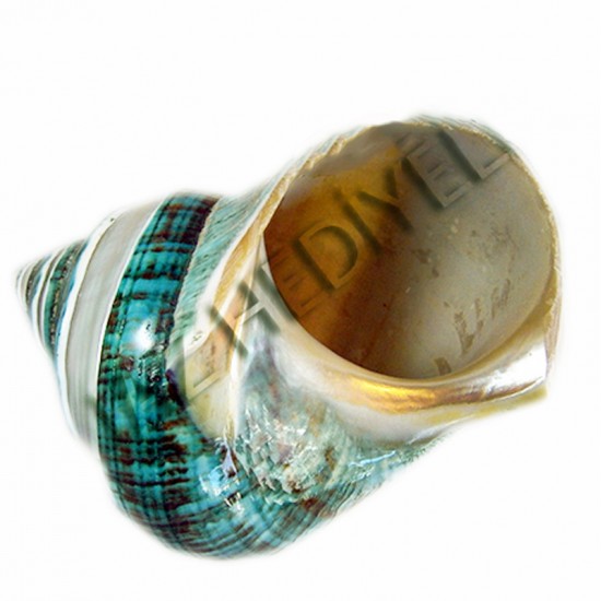 TURBO BURGESS BANDED