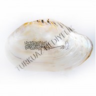 MACABE PEARLIZED 9" / RESİMLİ