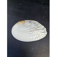 MACABE - İNCİLİ 5"