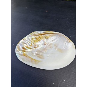 MACABE - İNCİLİ 5"