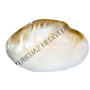 MACABE PEARLIZED  9" - TEKLİ