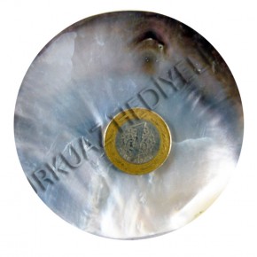 BLACK LIP POLISHED YUVARLAK 4"