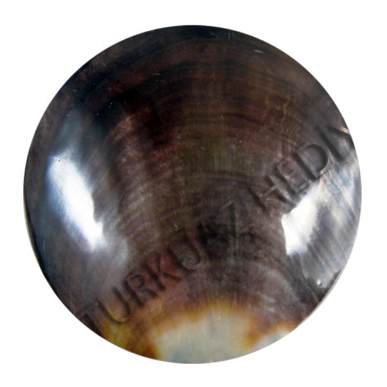 BLACK LIP POLISHED YUVARLAK 4"