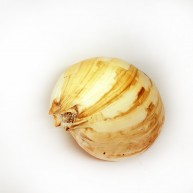 MELO UMBLICATUS 12"-13"