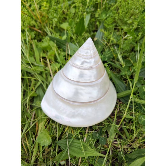 TROCA PEARLIZED 4" UP