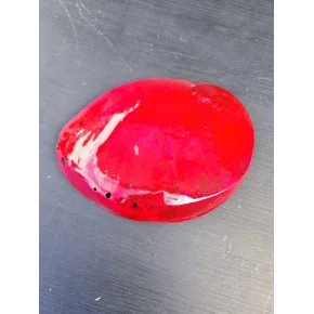 HALIOTIS POLISHED RED 5,5