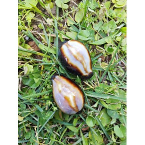 BLACK ONYX