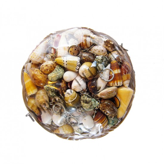 ANAHTARLIK SEPETİ-KÜÇÜK KABUKLU