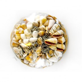 ANAHTARLIK SEPETİ-ORTA KABUKLU