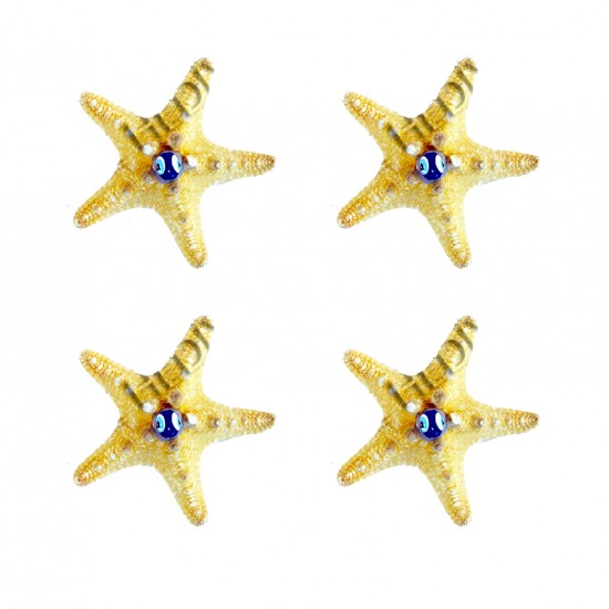 DENİZ YILDIZI MAGNET