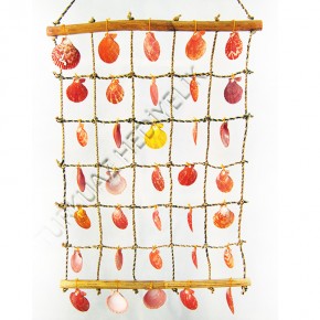 KABUK PECTEN DEKOR-MİNİ