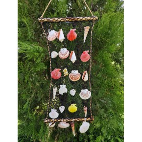 SİYAH AĞ KABUK DEKOR