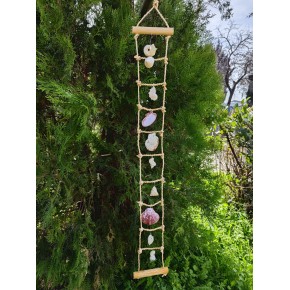 KABUK DEKOR 1X10 (SEDEF KABUKLU)