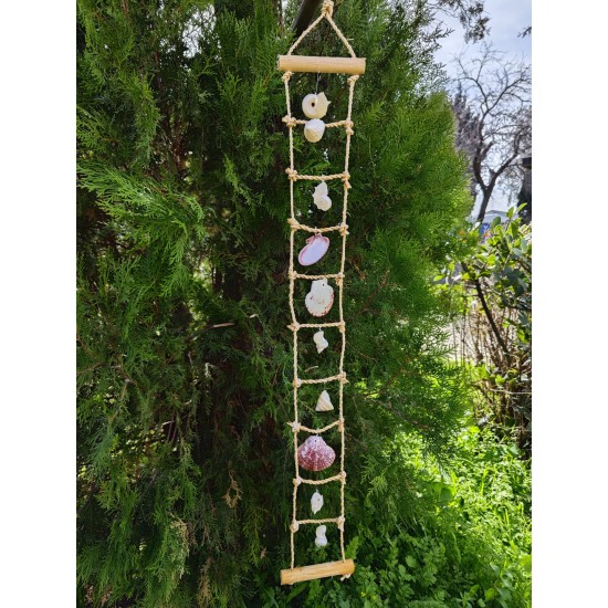 KABUK DEKOR 1X10 (SEDEF KABUKLU)