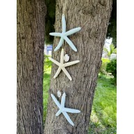 3'LÜ PARMAK YILDIZLI SARKAÇ-AÇIK MAVİ