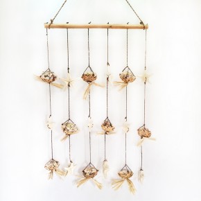 DENİZ YILDIZI&KABUK DEKOR PANO (PH.YILDIZLI)