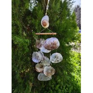 KARA SALYANGOZU PLACUNALI SARKAÇ