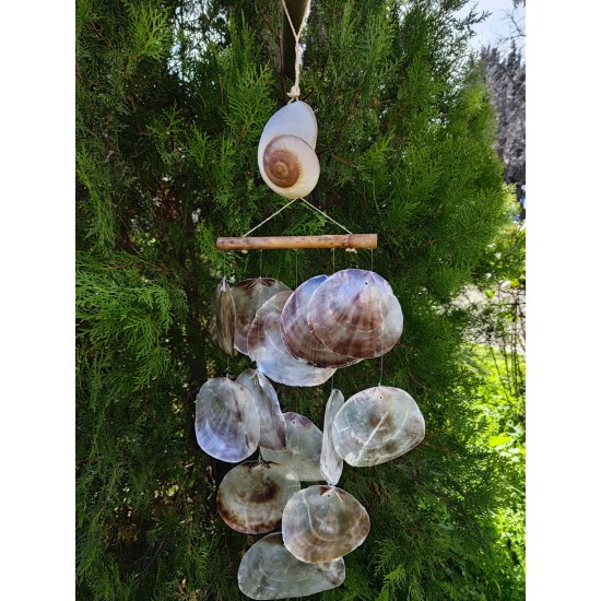 KARA SALYANGOZU PLACUNALI SARKAÇ