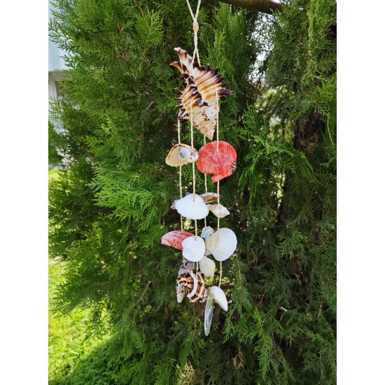 MUREX INDIVIA KABUK SARKAÇ