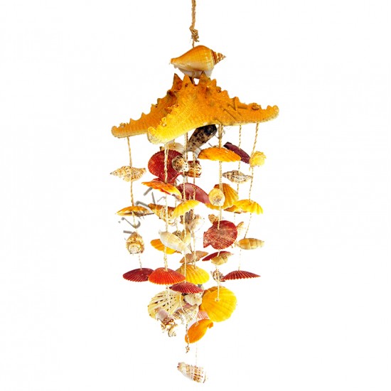 DENİZ YILDIZLI KABUK SARKAÇ