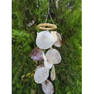 HASIR SİMİT SARKAÇ-MİNİ/RADULA-PLACUNA