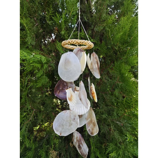 HASIR SİMİT SARKAÇ-MİNİ/RADULA-PLACUNA