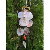 HASIR SİMİT SARKAÇ-MİNİ/PECTEN-PLACUNA