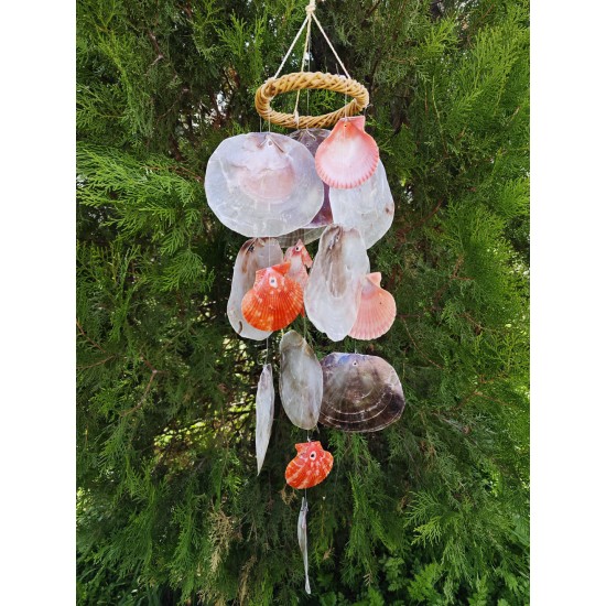 HASIR SİMİT SARKAÇ-MİNİ/PECTEN-PLACUNA