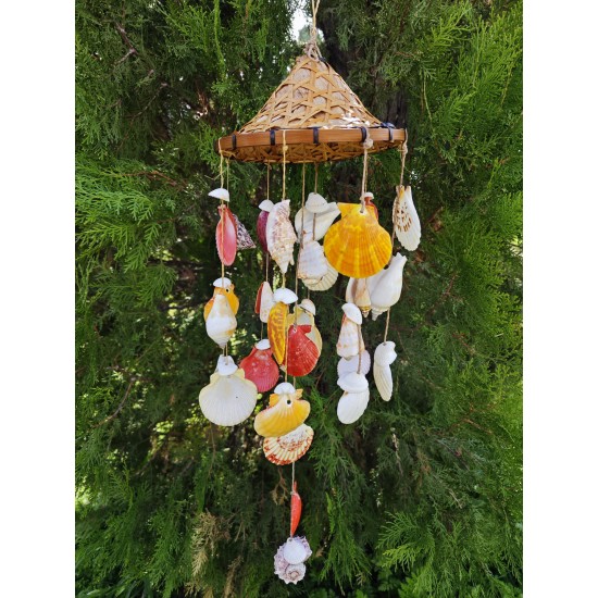 HASIR ŞAPKALI SARKAÇ-PECTEN KABUKLU