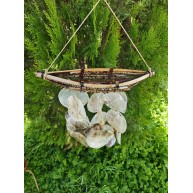 AĞAÇ DALI KANO SARKAÇ-PLACUNA KABUKLU