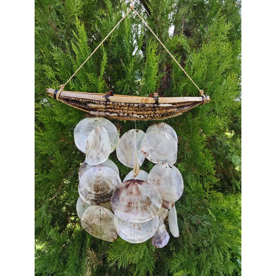 AĞAÇ DALI KANO SARKAÇ-PLACUNA KABUKLU