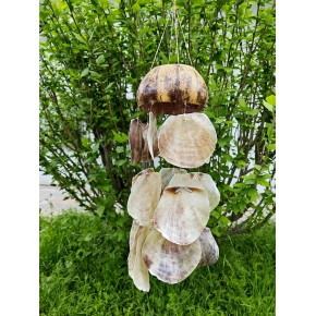 HALF COCO W/PLACUNA SARKAÇ