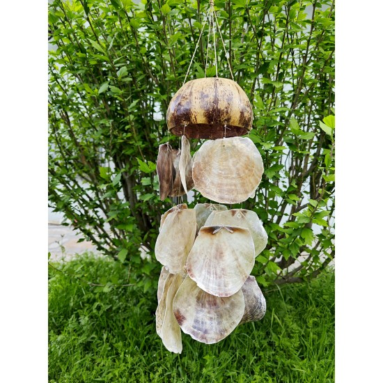 HALF COCO W/PLACUNA SARKAÇ