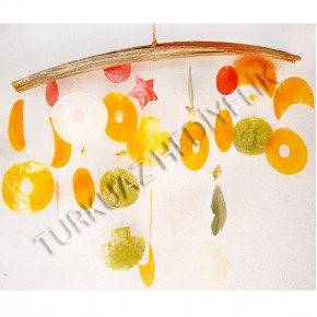 SEDEF SARKAÇ-ÇOK RENKLİ 