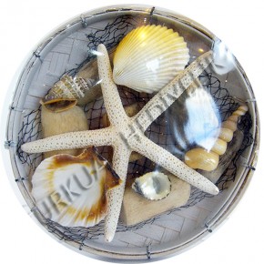 BEYAZ KABUK TABLO-KÜÇÜK