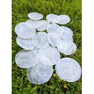 CAPIZ (KİLOLUK) 6-8 CM-100 GRAM