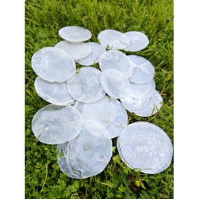 CAPIZ (KİLOLUK) 6-8 CM-100 GRAM
