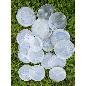 CAPIZ (KİLOLUK) 6-8 CM-100 GRAM